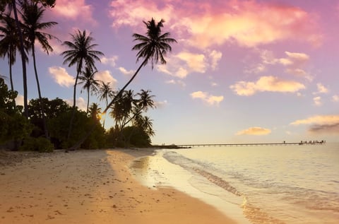 Tropical beach